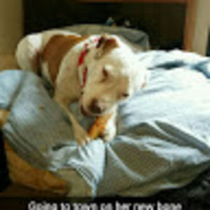 Meet your Posher, Angelique